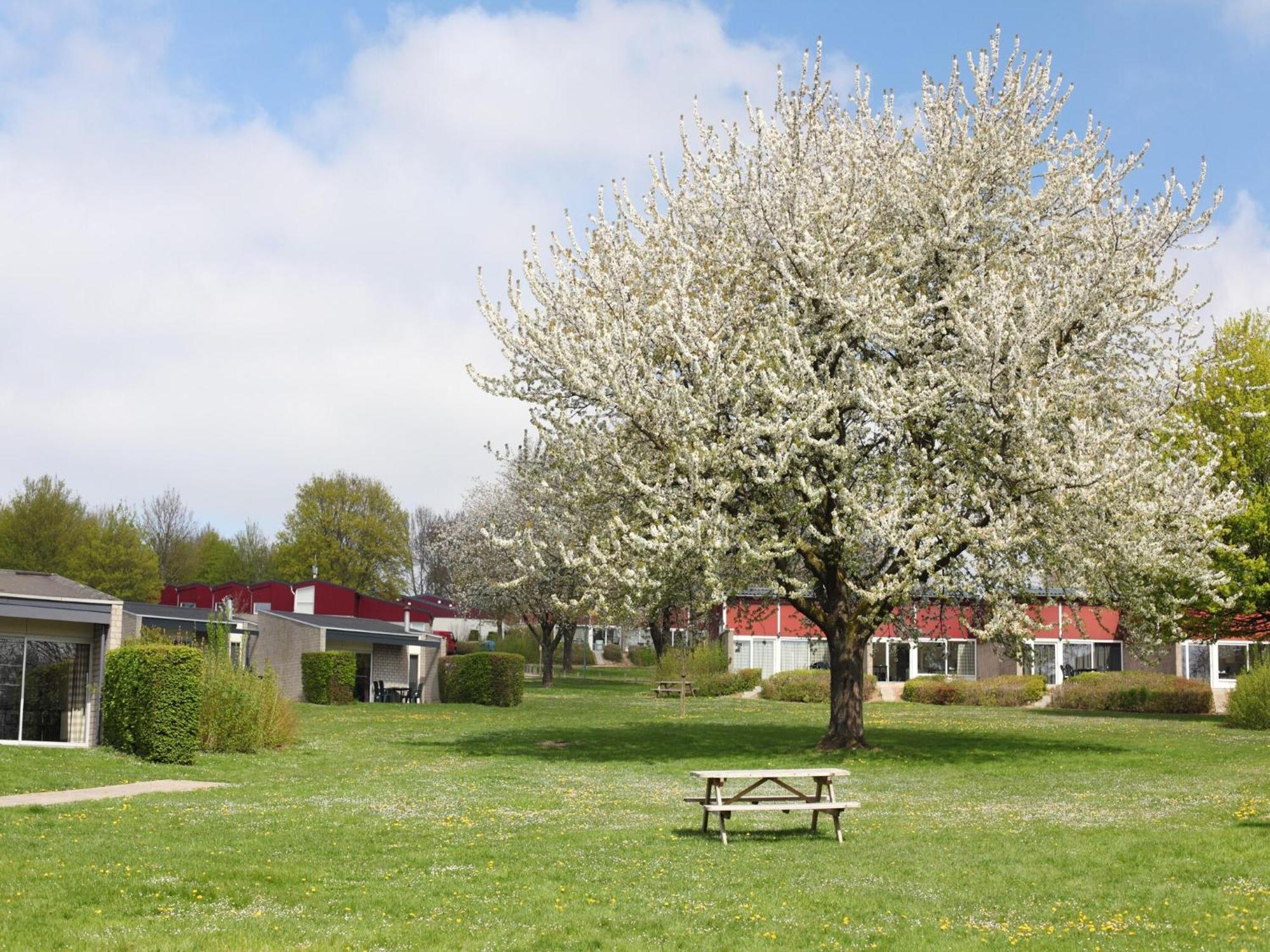 Nice Bungalow With Sauna And Bubble Bath, On A Holiday Park, 4 Km Valkenburg Villa Walem Buitenkant foto